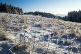 201401260831-AJ000461.jpg